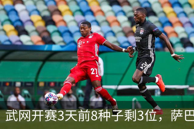 武网开赛3天前8种子剩3位，萨巴伦卡1-2一轮游，郭涵煜持外卡拿到WTA1000正赛2连胜晋级16强